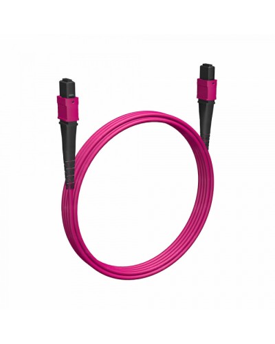 Кабельная сборка MPO(F) -MPO(F)-12 волокон 50/125 OM4, 2 m Cabeus (FOP-50-OM4-12-MPO(F)-12-MPO(F)-B-2m) в Стерлитамаке Кабельные сборки (оптические) Pintop.ru