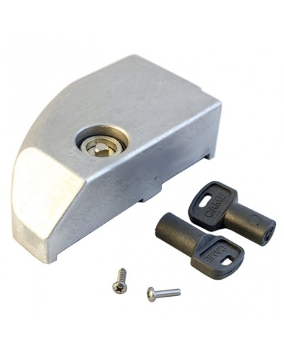 Дверца замка разблокировки BK Came 119RIBK012 в Стерлитамаке Запчасти для шлагбаумов и автоматики Pintop.ru