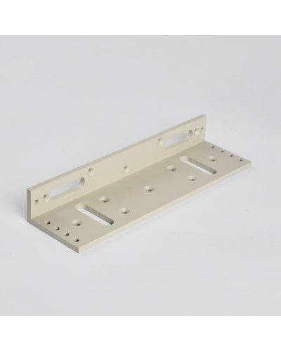 Монтажный аксеcсуар R-Lock RL-BR500-LG в Стерлитамаке Дополнительное оборудование для СКУД Pintop.ru