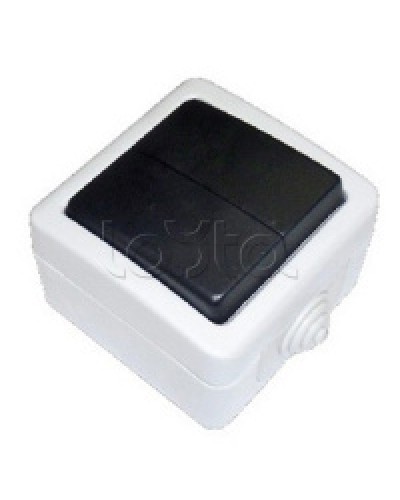 Экопласт EF602SA Переключатель 2-полюсный, двухклавишный с 2-х мест (сх.6+6) 10A (сер.) в Стерлитамаке Розетки компьютерные и телефонные Pintop.ru