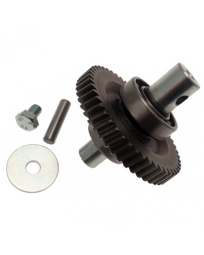 Шестерня редуктора FAST в сборе Came 119RID229 в Стерлитамаке Запчасти для шлагбаумов и автоматики Pintop.ru
