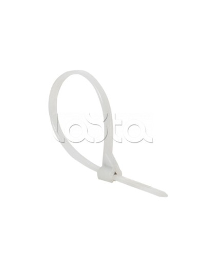 Хомут нейлоновый со стальным зубом (б), 3x100 (100шт) EKF PROxima (plc-fl-ctsbw-3x100) в Стерлитамаке Стяжки-хомуты Pintop.ru