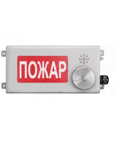 Табло светозвуковое взрывозащищенное Спектрон ТСЗВ-Exm-Н-Прометей-МИНИ 12-36В в Стерлитамаке Оповещатели Ex Pintop.ru