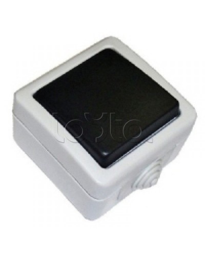 Экопласт EF600SD Выключатель одноклавишый с самовозвратом (кнопка),10A (сер.) в Стерлитамаке Розетки компьютерные и телефонные Pintop.ru