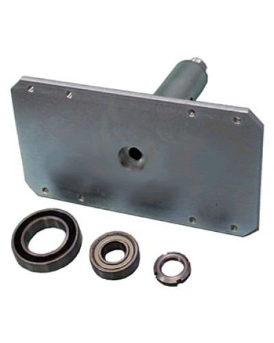 Электромагнит с механизмом разблокировки Came 119RIH022 в Стерлитамаке Запчасти для шлагбаумов и автоматики Pintop.ru