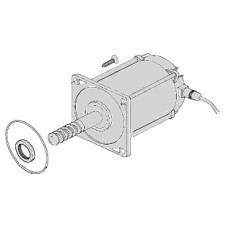 Электродвигатель Came 119RIA025