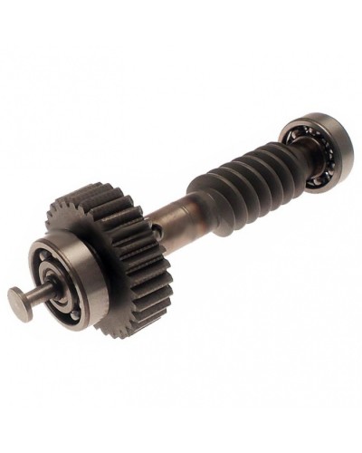 Червяк редуктора FAST в сборе Came 119RID228 в Стерлитамаке Запчасти для шлагбаумов и автоматики Pintop.ru