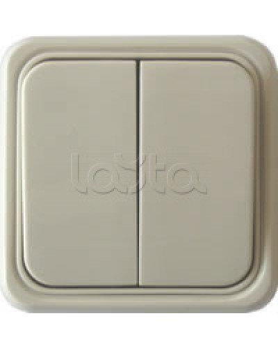 Выключатель двухклавишный открытой установки Экопласт, схема 5, (бежевый) в Стерлитамаке Розетки компьютерные и телефонные Pintop.ru