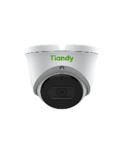 Уличная купольная IP-камера Tiandy TC-C32XN Spec:I3/E/Y/M/2.8mm/V4.1 в Стерлитамаке IP-камеры Pintop.ru