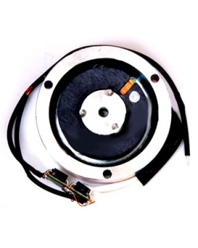 Электромагнит BY1500T Came 119RIY034 в Стерлитамаке Запчасти для шлагбаумов и автоматики Pintop.ru