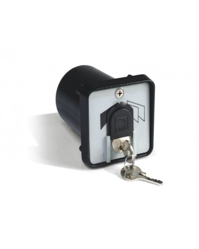 Ключ-выключатель с защитой цилиндра, встраиваемый Came 001SET-K в Стерлитамаке Запчасти для шлагбаумов и автоматики Pintop.ru