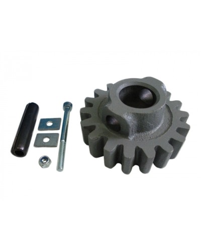 Шестерня ведущая ВК Came 119RIBK002 в Стерлитамаке Запчасти для шлагбаумов и автоматики Pintop.ru