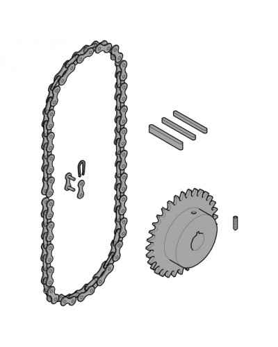 Передающая система (цепь и звездочки) C005 Came 119RICX016 в Стерлитамаке Запчасти для шлагбаумов и автоматики Pintop.ru