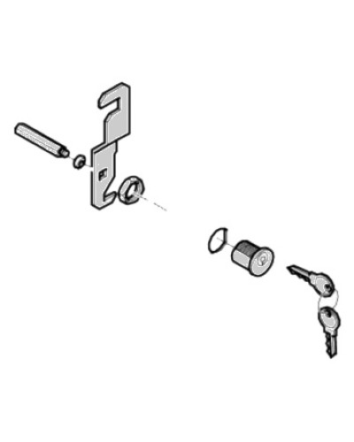 Замок дверцы G4040 G4041 Came 119RIG176 в Стерлитамаке Запчасти для шлагбаумов и автоматики Pintop.ru