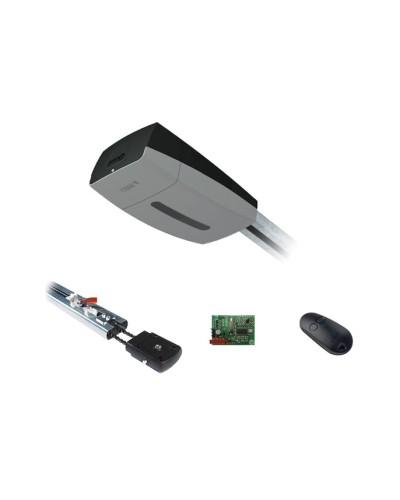 Came V13DMS3.25 KIT (до 3,25 м до 21 м2) - Комплект автоматики для секционных ворот высотой до 3,25 м на основе привода VER13DMS в Стерлитамаке Устройства радиоуправления для шлагбаумов и автоматики Pintop.ru