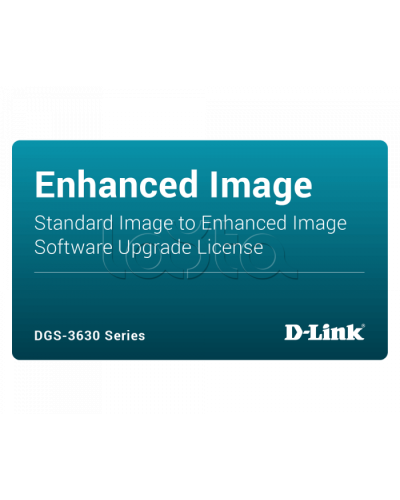 ПО D-Link DGS-3630-28PC-SE-LIC в Стерлитамаке Беспроводное оборудование Pintop.ru