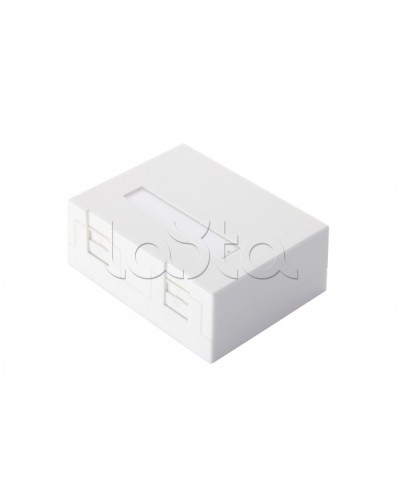 Настенная коробка 2-портовая со шторками, белый Eurolan (12B-04-02WT-2) в Стерлитамаке Розетки компьютерные и телефонные Pintop.ru