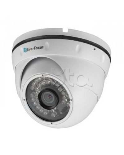 IP-камера видеонаблюдения купольная EverFocus ACE-IAV30 в Стерлитамаке IP-камеры Pintop.ru