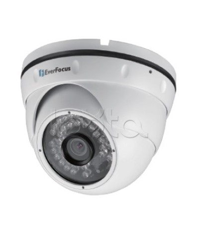 IP-камера видеонаблюдения уличная купольная EverFocus EBN-268 в Стерлитамаке IP-камеры Pintop.ru