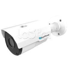 IP-камера видеонаблюдения в стандартном исполнении EverFocus EZN-1250
