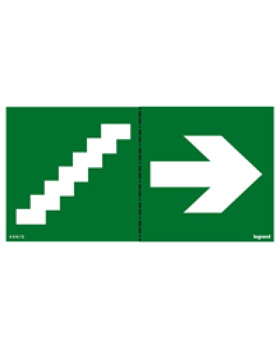 Пиктограмма 100х200 лестница стрелка Legrand 661672 в Стерлитамаке Дополнительное оборудование для ОПС Pintop.ru