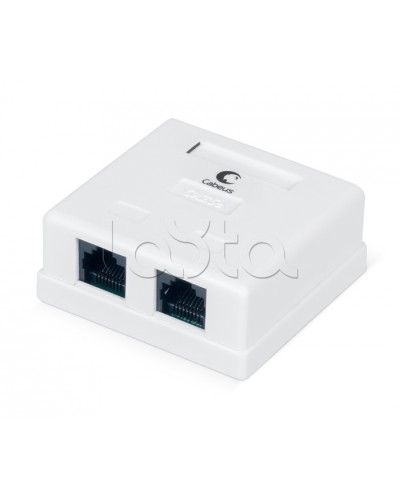 Розетка компьютерная RJ-45, категория 5e, двойная, внешняя, Dual IDC Cabeus WS-8P8C-Cat.5e-2 в Стерлитамаке Розетки компьютерные и телефонные Pintop.ru