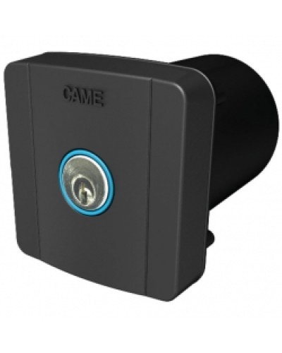 Ключ-выключатель встраиваемый Came 806SL-0020 в Стерлитамаке Запчасти для шлагбаумов и автоматики Pintop.ru