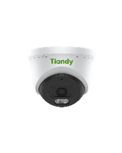Уличная купольная IP-камера Tiandy AK TC-C320N Spec:I3/E/Y/2.8mm в Стерлитамаке IP-камеры Pintop.ru
