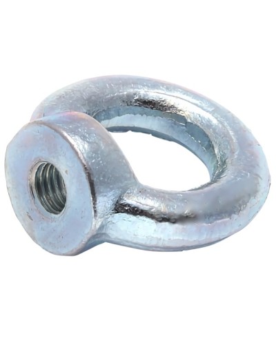 Рым-гайка М10 DIN 582 (50 шт/уп) Промрукав (PR08.3905) в Стерлитамаке Крепеж Pintop.ru