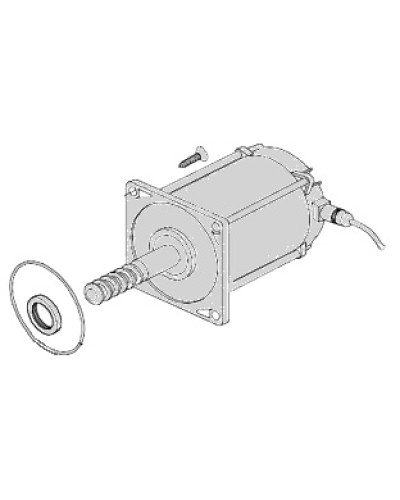 Электродвигатель Came 119RIA025 в Стерлитамаке Запчасти для шлагбаумов и автоматики Pintop.ru